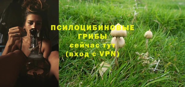 бошки Гусев