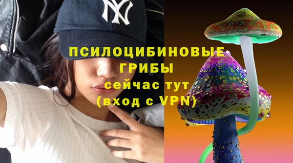 2c-b Гусь-Хрустальный