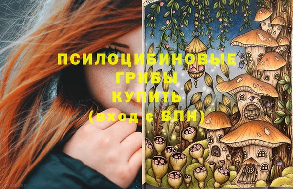 бошки Гусев