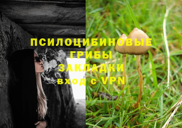 2c-b Гусь-Хрустальный