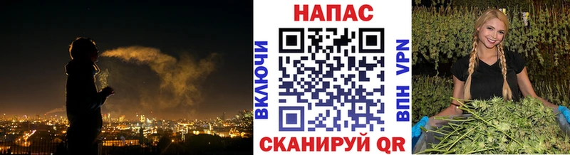 Шишки марихуана Ganja  Купить  Барыш 
